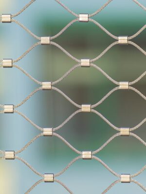 B0033485_Baldauf&Baldauf