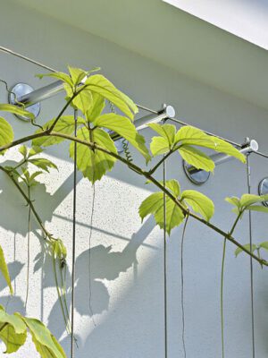 Baader Bank Zentrale München (1)