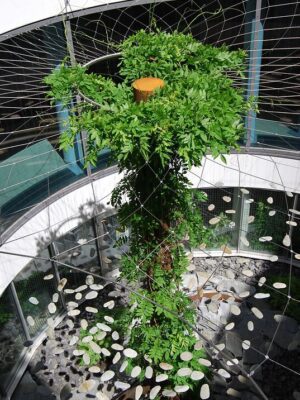 Hausbank München (1)