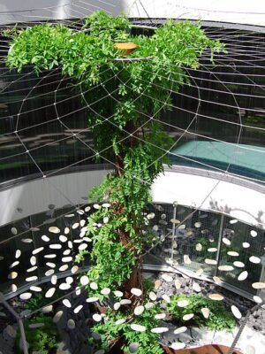 Hausbank München (2)