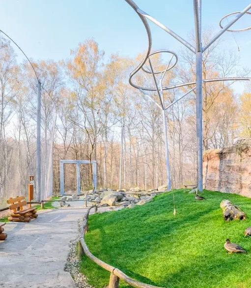 CZ, Zoo Ostrava_31-n9dx5d8f51fg70r Applications | Zoos Cablemesh.us
