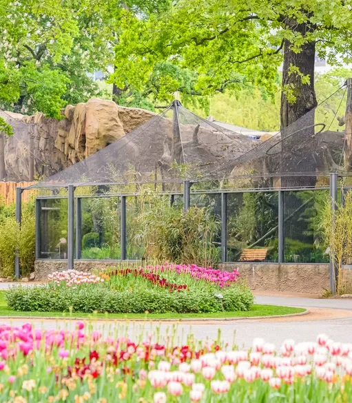 GER, Zoo Berlin RTH_18-jkna3xy9ad8trhe Applications | Zoos Cablemesh.us