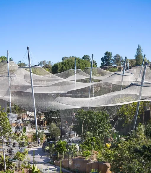 USA, San Dieog Zoo, Africa Rocks (16)-gdp1dcvkzz140p9 Applications | Zoos Cablemesh.us