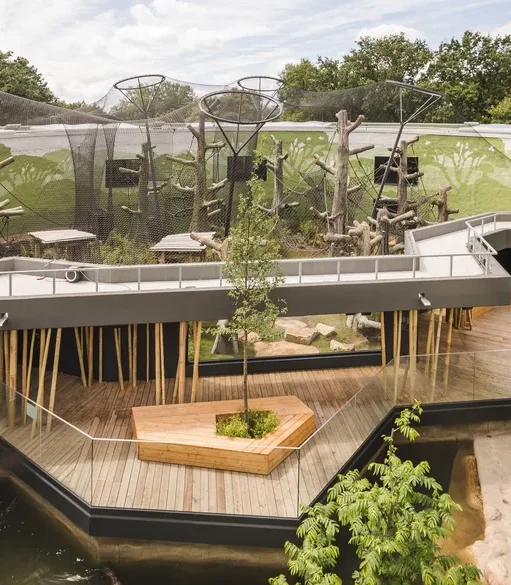 Zoo Dresden, Orang Utan Haus-fehrs00caszn89m Applications | Zoos Cablemesh.us
