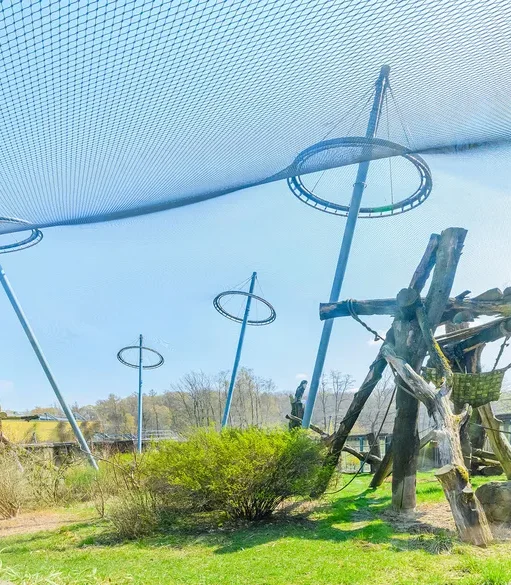 cz-zoo-ostrava1-dm5xzcdsrbt8b8m Applications | Zoos Cablemesh.us