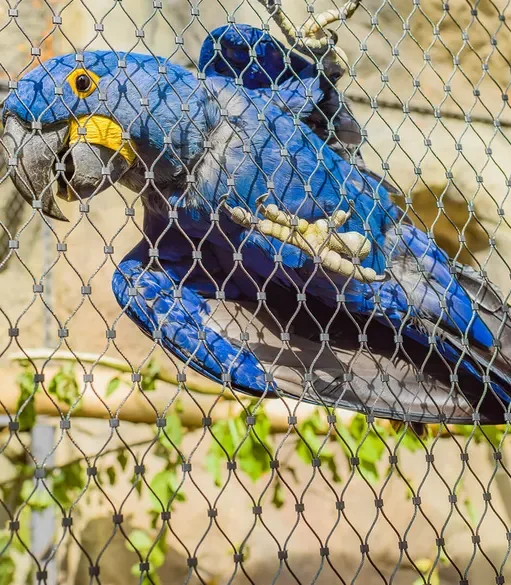 ger-aralandia-wuppertal5-treh08s24bvhn5j Applications | Zoos Cablemesh.us