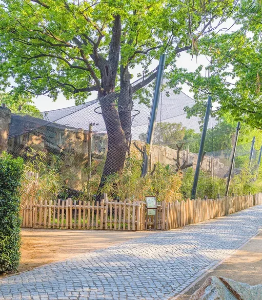 ger-zoo-berlin-rth3-r73dr1pgqsaep6v Applications | Zoos Cablemesh.us