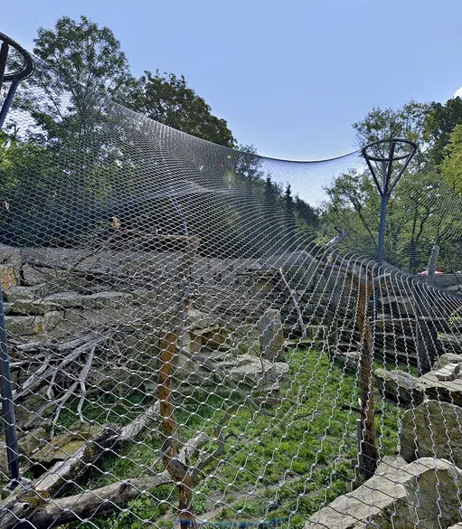 ger-zoo-dresden3-8dzkd6k4744sfmg Applications | Zoos Cablemesh.us